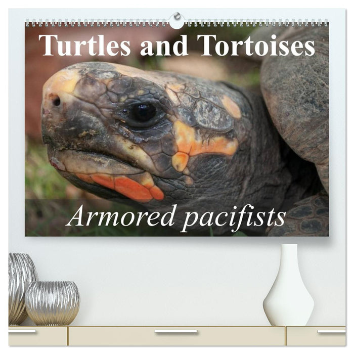 Turtles and Tortoises - Armored pacifists (CALVENDO Premium-Calendar 2026)