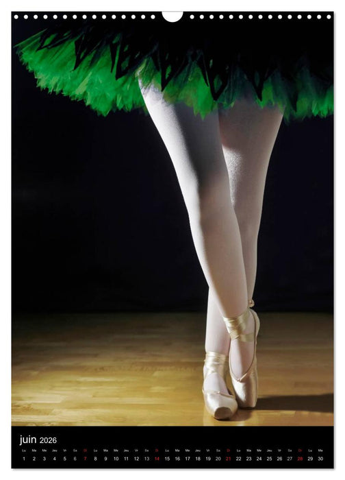 BALLERINE (CALVENDO Calendrier mensuel 2026)