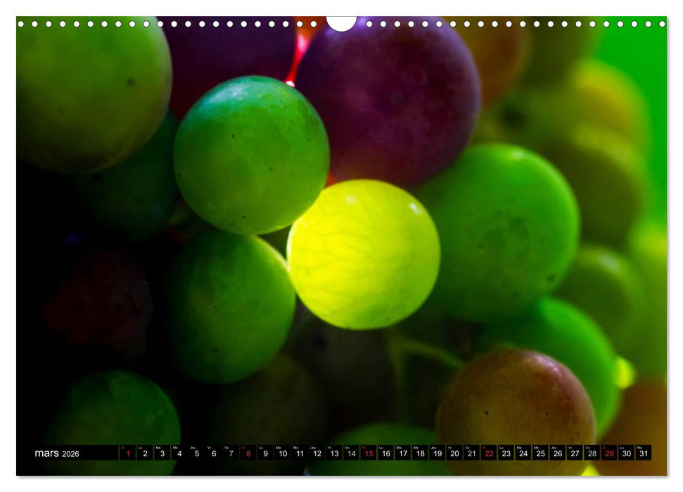 LE VIN (CALVENDO Calendrier mensuel 2026)