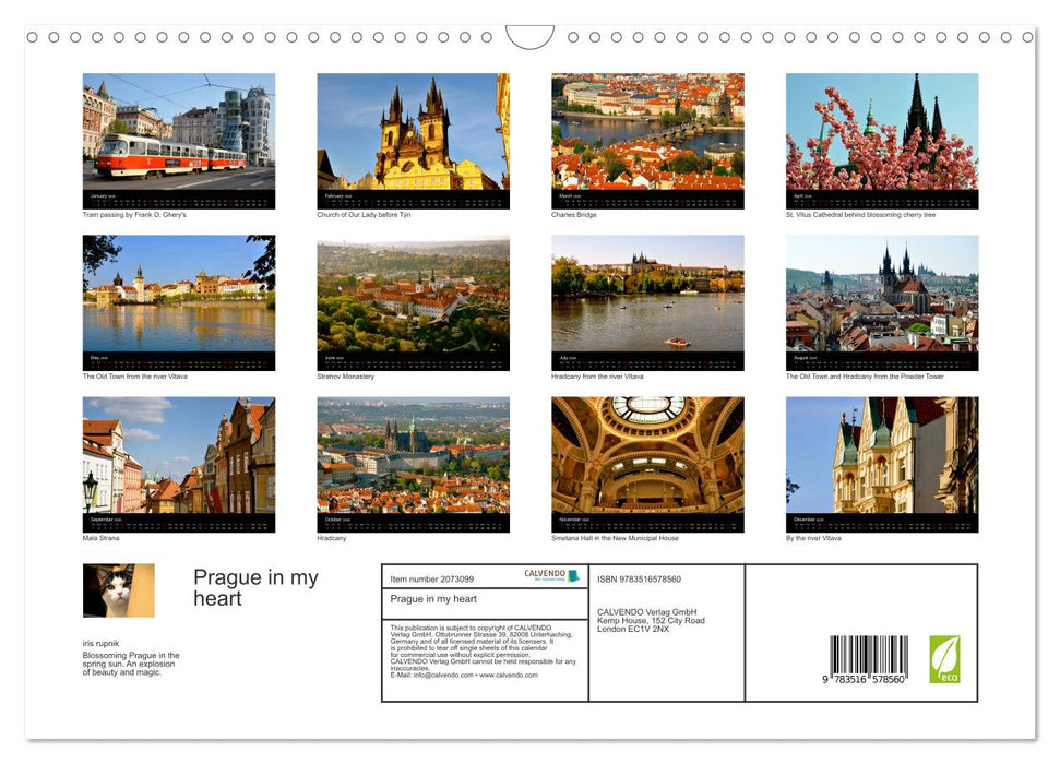 Prague in my heart (CALVENDO Monthly Calendar 2026)
