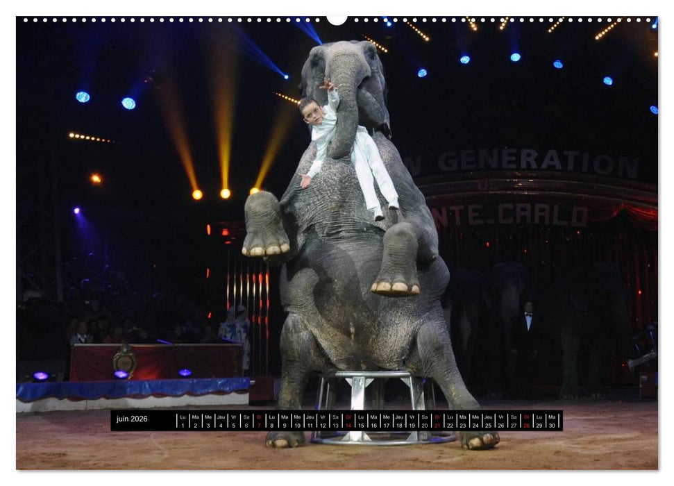 Les cadets du cirque à Monaco (CALVENDO Calendrier supérieur 2026)