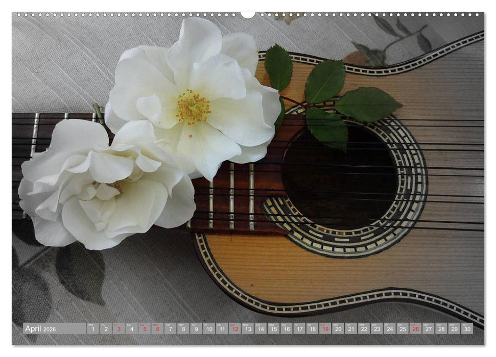 Music Magic of musical instruments (CALVENDO Premium-Calendar 2026)