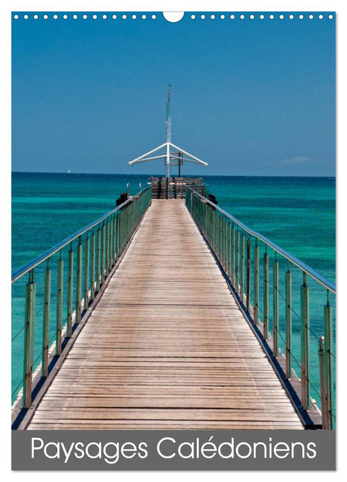 Paysages calédoniens (CALVENDO Calendrier mensuel 2026)