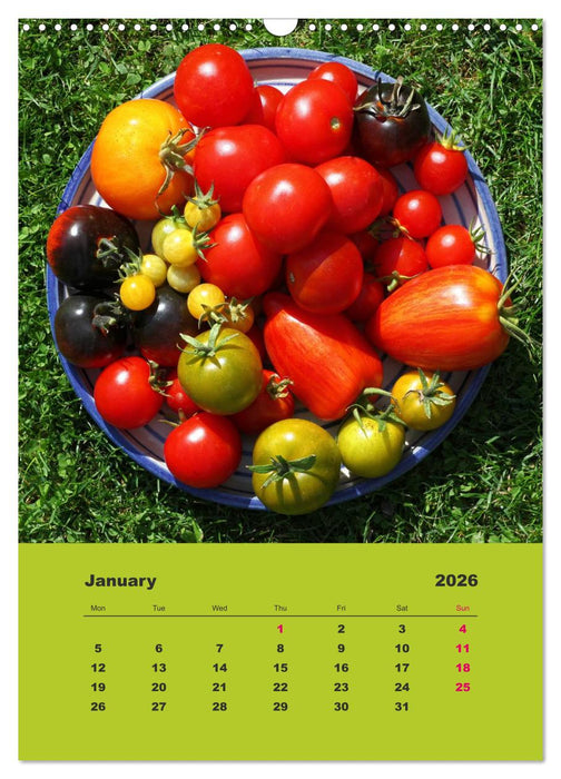 Organic Tomatoes (CALVENDO Monthly Calendar 2026)