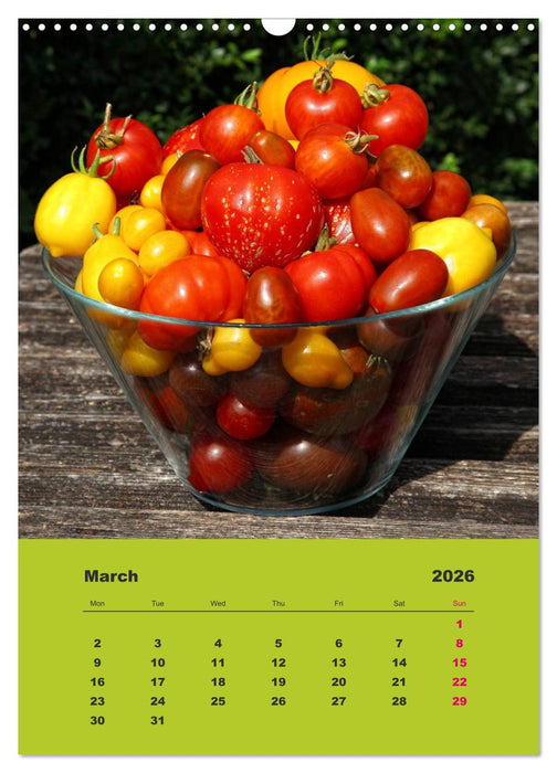 Organic Tomatoes (CALVENDO Monthly Calendar 2026)