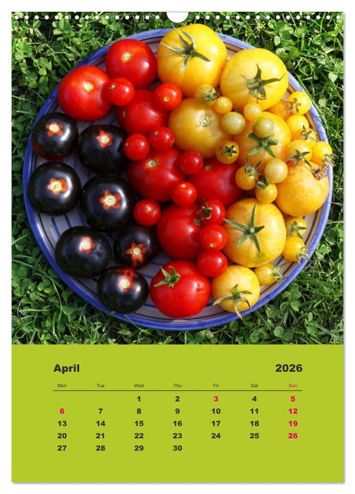 Organic Tomatoes (CALVENDO Monthly Calendar 2026)