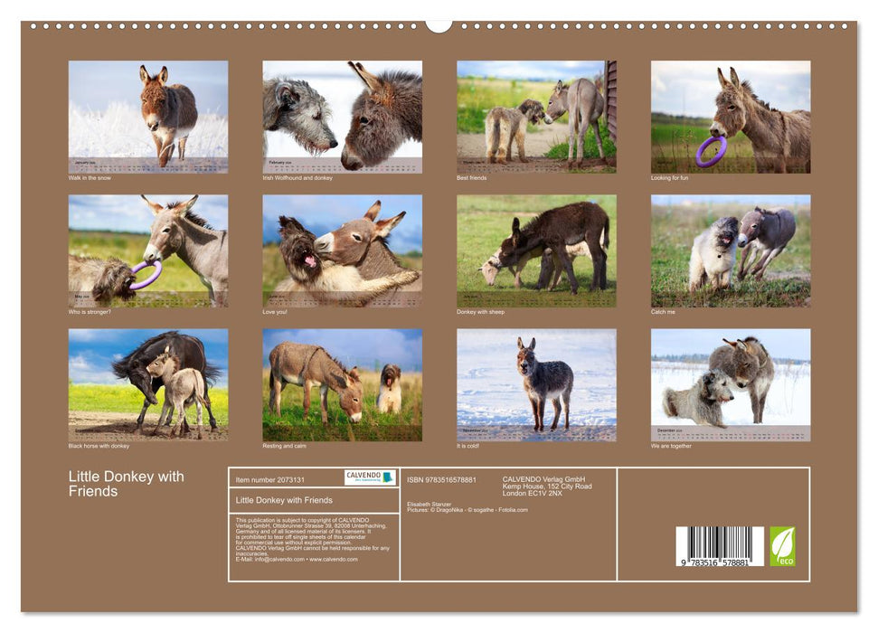 Little Donkey with Friends (CALVENDO Premium-Calendar 2026)