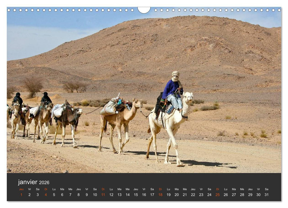 LE SAHARA L'Algérie du Sud (CALVENDO Calendrier mensuel 2026)