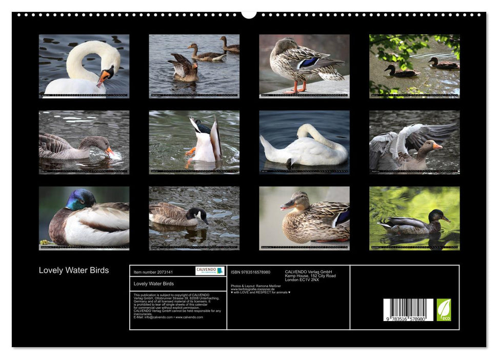 Lovely Water Birds (CALVENDO Premium-Calendar 2026)