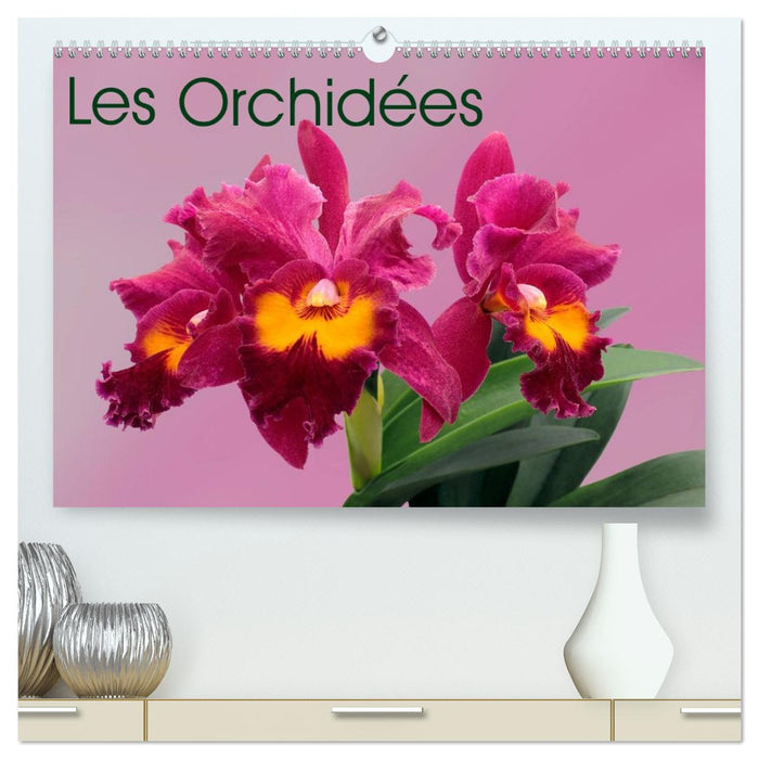 Les Orchidées (CALVENDO Calendrier supérieur 2026)