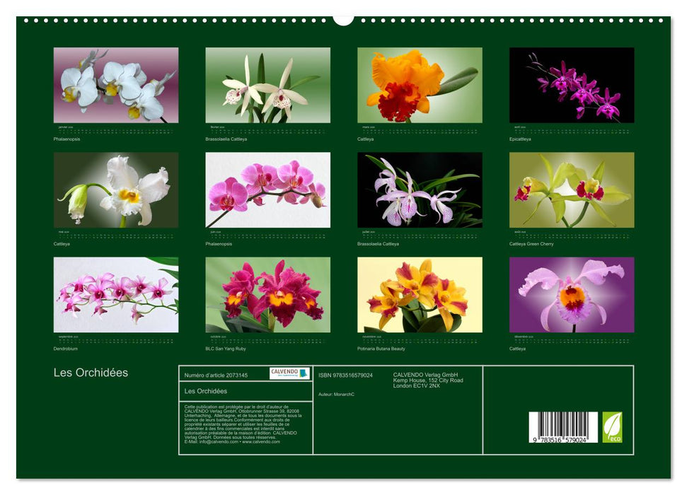 Les Orchidées (CALVENDO Calendrier supérieur 2026)