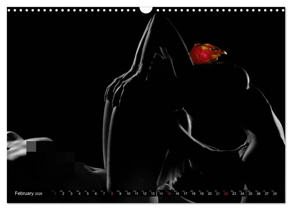 Fruit Nudes (CALVENDO Monthly Calendar 2026)