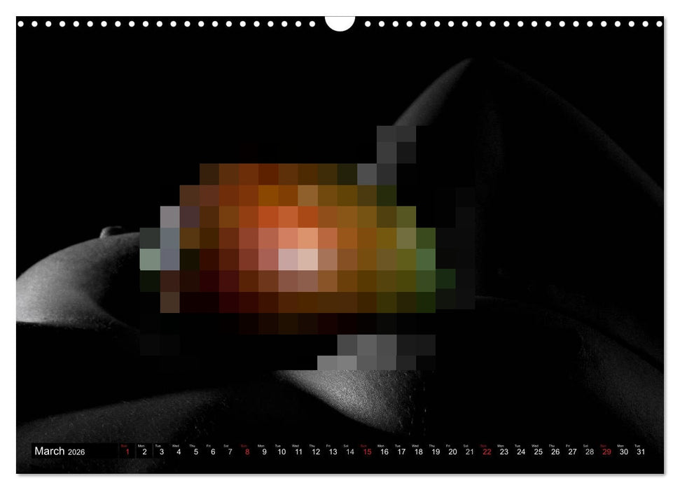 Fruit Nudes (CALVENDO Monthly Calendar 2026)