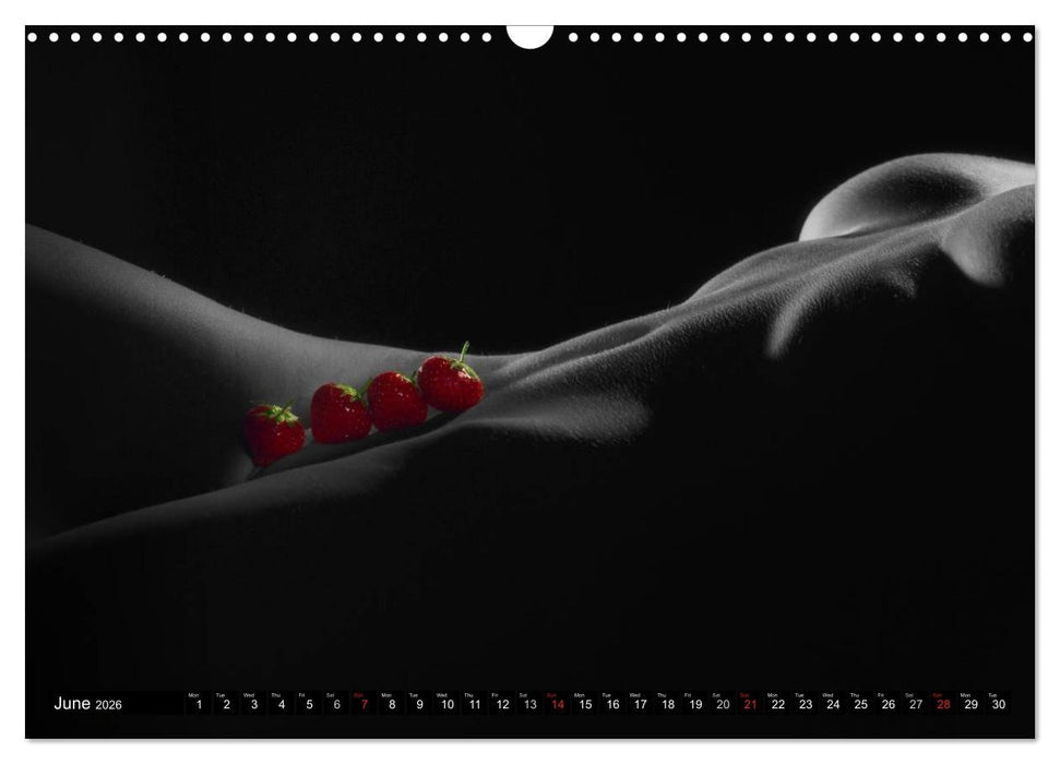 Fruit Nudes (CALVENDO Monthly Calendar 2026)