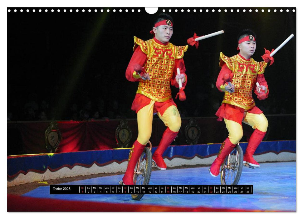 Les cadets du cirque à Monaco (CALVENDO Calendrier mensuel 2026)
