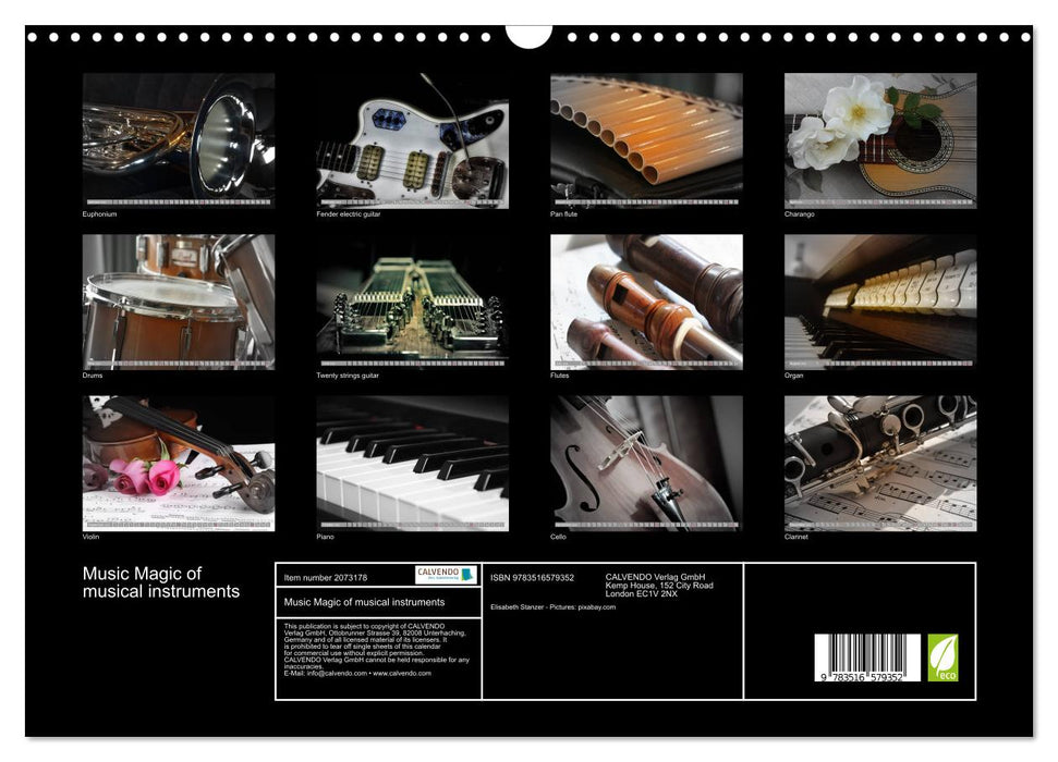 Music Magic of musical instruments (CALVENDO Monthly Calendar 2026)