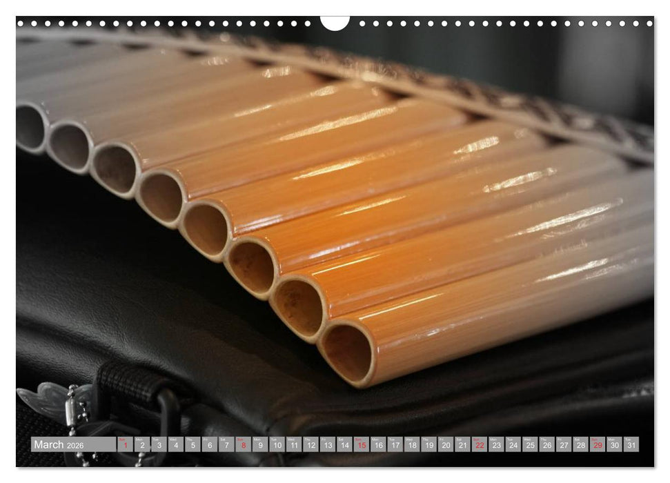 Music Magic of musical instruments (CALVENDO Monthly Calendar 2026)