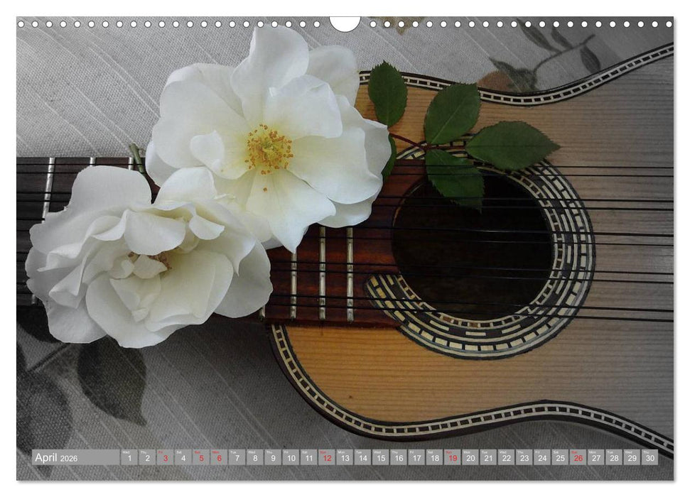 Music Magic of musical instruments (CALVENDO Monthly Calendar 2026)