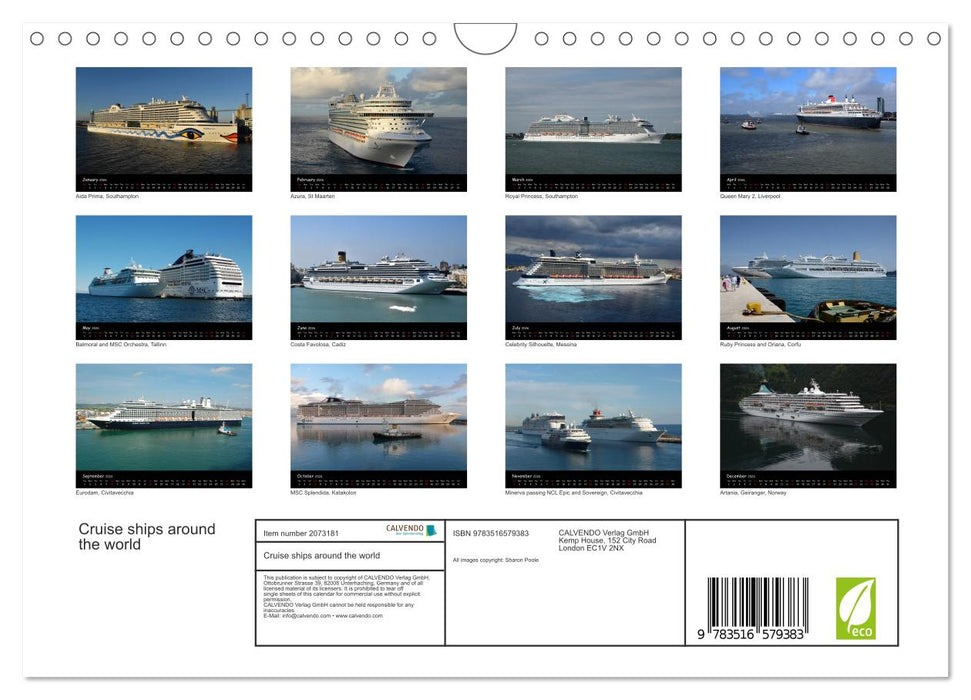Cruise ships around the world (CALVENDO Monthly Calendar 2026)