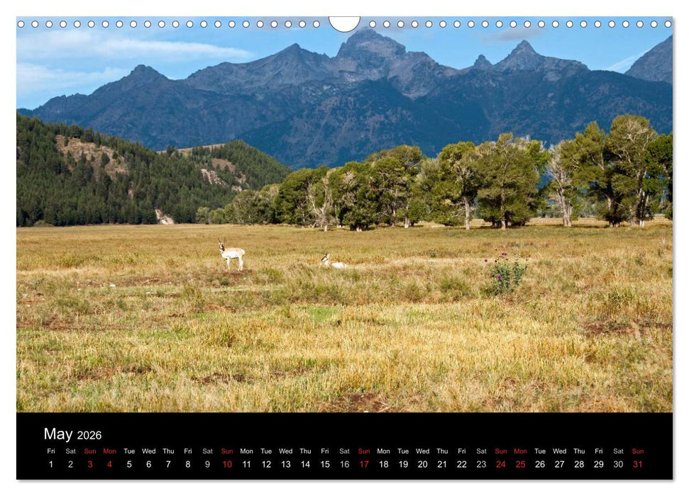 Beautiful Yellowstone and Grand Tetons National Parks (CALVENDO Monthly Calendar 2026)