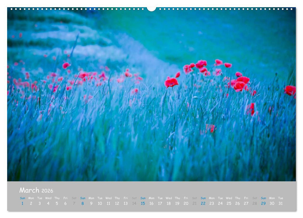 Poppy Love (CALVENDO Premium-Calendar 2026)