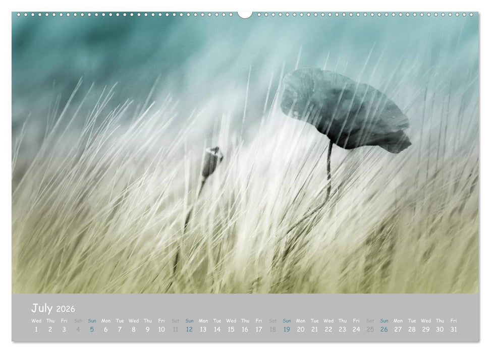Poppy Love (CALVENDO Premium-Calendar 2026)