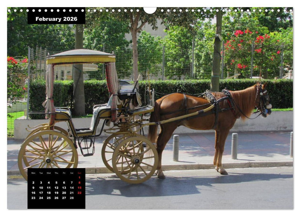 Impressions of Malta (CALVENDO Monthly Calendar 2026)