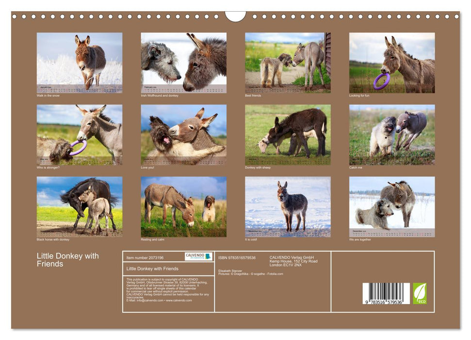 Little Donkey with Friends (CALVENDO Monthly Calendar 2026)