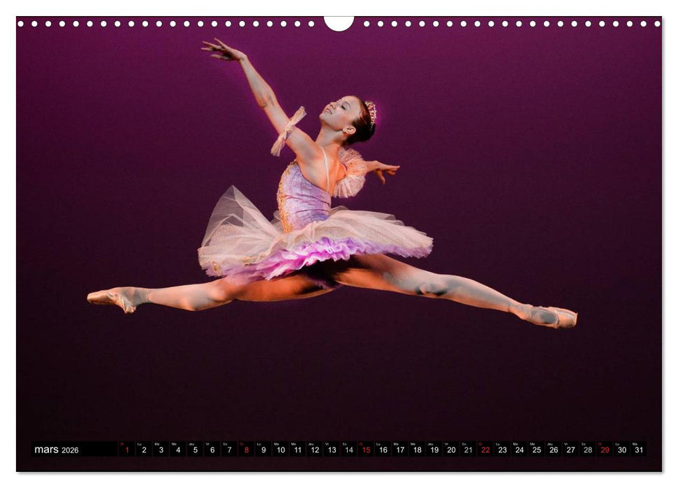 Vaganova, ballet impérial (CALVENDO Calendrier mensuel 2026)