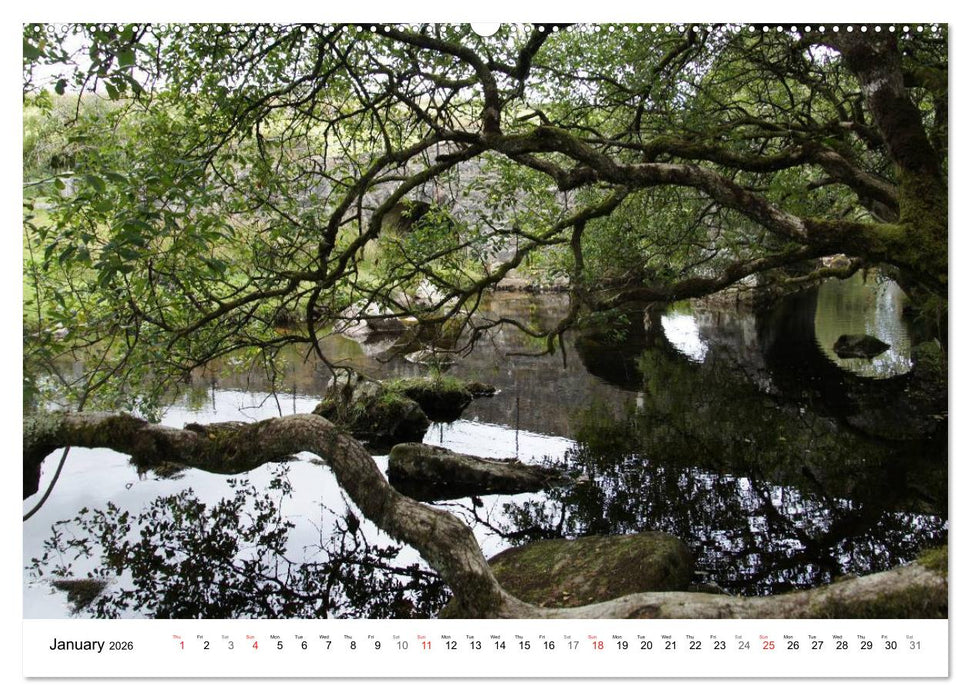 Charming - Mystic Devon Dartmoor, South England (CALVENDO Premium-Calendar 2026)
