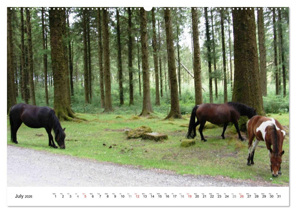 Charming - Mystic Devon Dartmoor, South England (CALVENDO Premium-Calendar 2026)