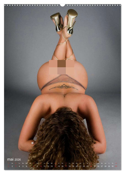 Affaire d'opinion – Nouvelles définitions d'aperçus (CALVENDO Calendrier supérieur 2026)