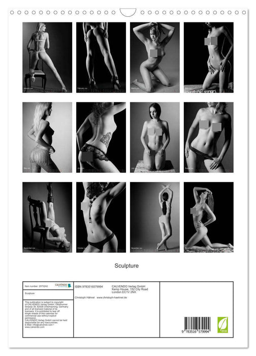 Sculpture (CALVENDO Monthly Calendar 2026)