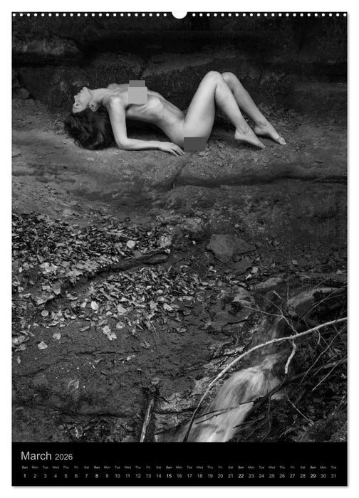 simbiosa ... fine art nude photography 2026 (CALVENDO Premium-Calendar 2026)