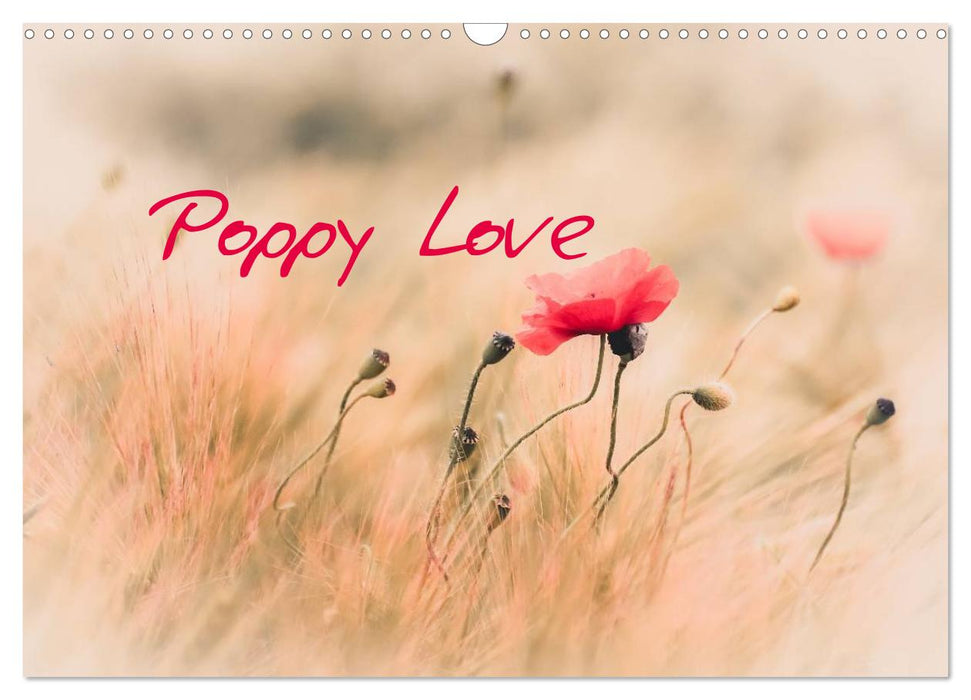 Poppy Love (CALVENDO Monthly Calendar 2026)