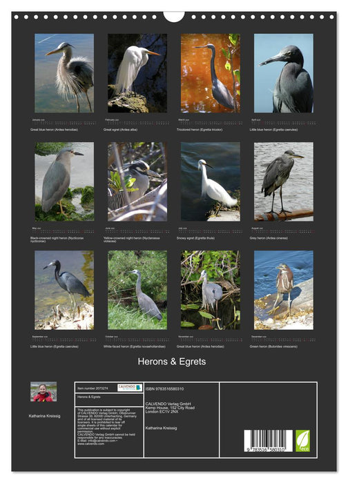 Herons & Egrets (CALVENDO Monthly Calendar 2026)