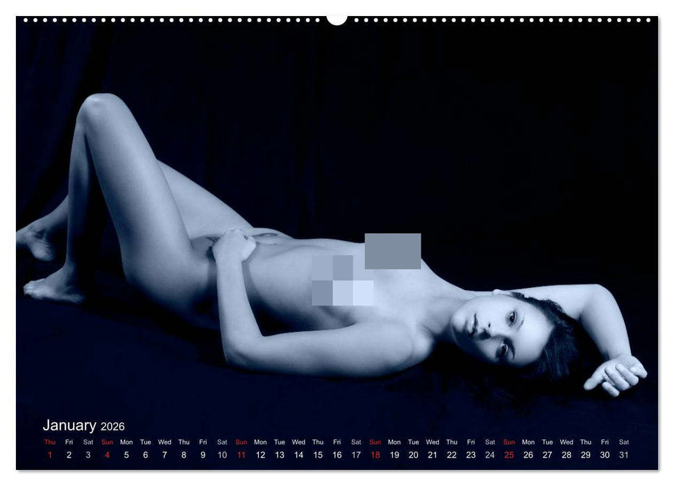 L´heure bleue - The Blue Hour (CALVENDO Premium-Calendar 2026)