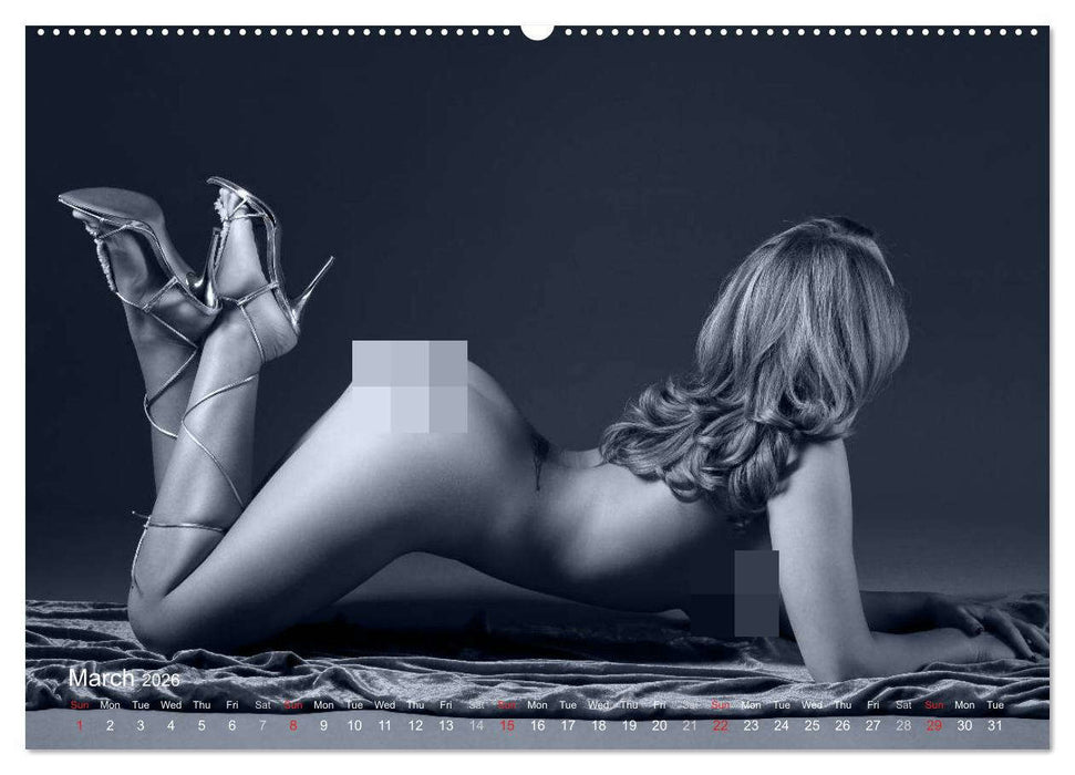 L´heure bleue - The Blue Hour (CALVENDO Premium-Calendar 2026)