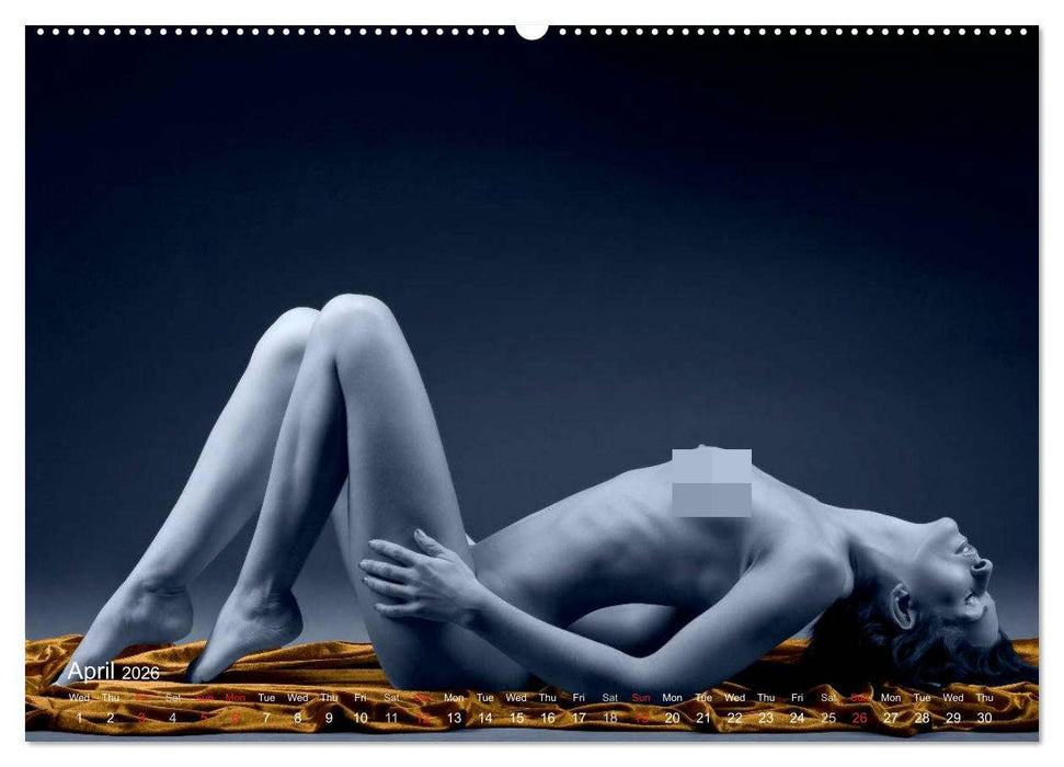 L´heure bleue - The Blue Hour (CALVENDO Premium-Calendar 2026)