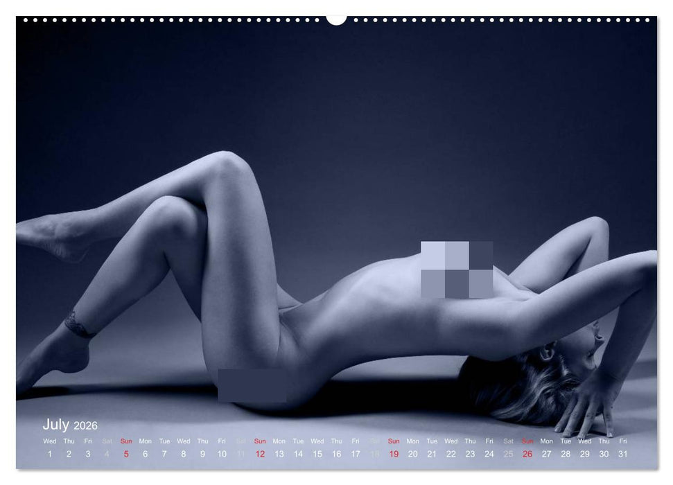 L´heure bleue - The Blue Hour (CALVENDO Premium-Calendar 2026)