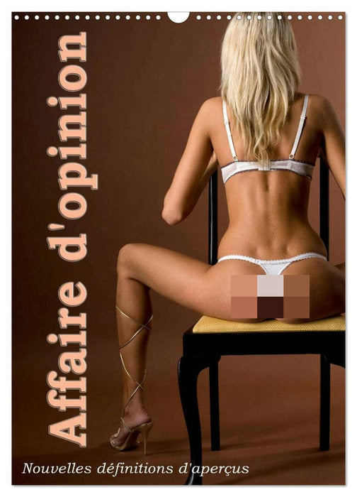 Affaire d'opinion – Nouvelles définitions d'aperçus (CALVENDO Calendrier mensuel 2026)