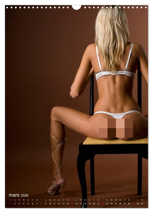 Affaire d'opinion – Nouvelles définitions d'aperçus (CALVENDO Calendrier mensuel 2026)