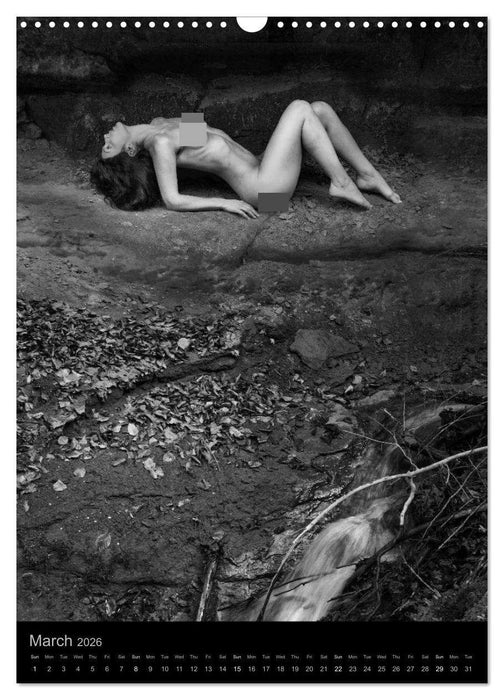 simbiosa ... fine art nude photography 2026 (CALVENDO Monthly Calendar 2026)