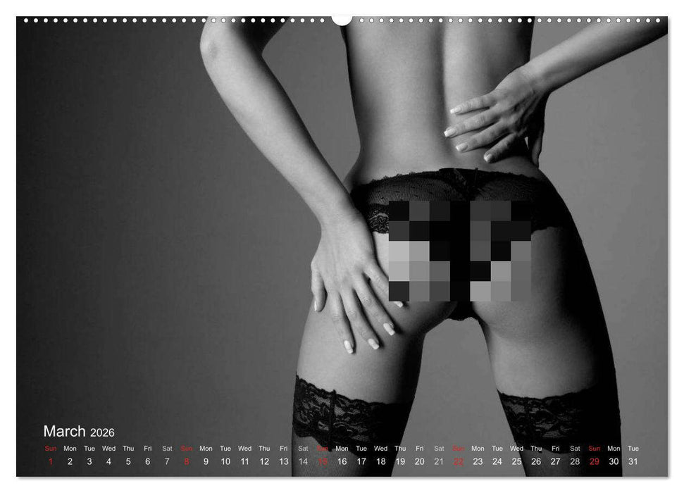 Erotic Fingerprints – Remarkable Skin Impressions (CALVENDO Premium-Calendar 2026)