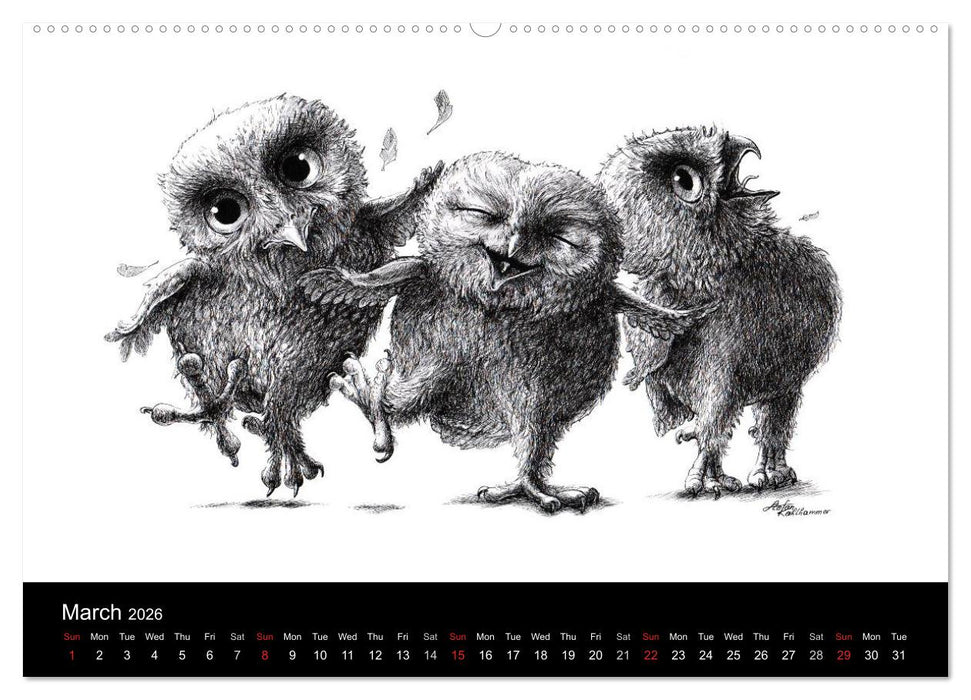 owls & friends 2026 (CALVENDO Premium-Calendar 2026)