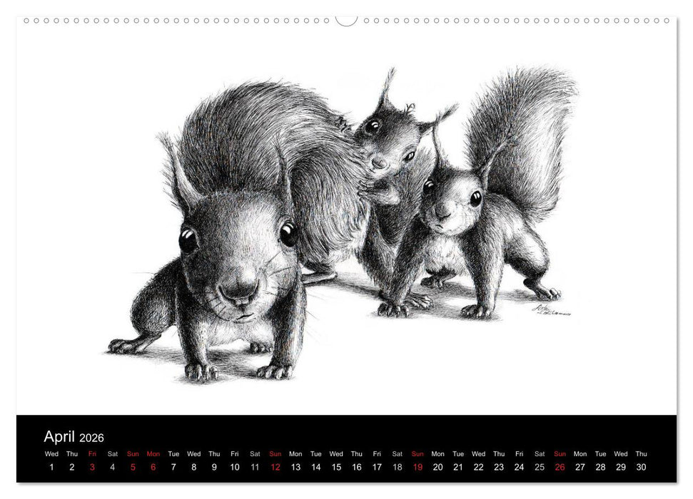 owls & friends 2026 (CALVENDO Premium-Calendar 2026)