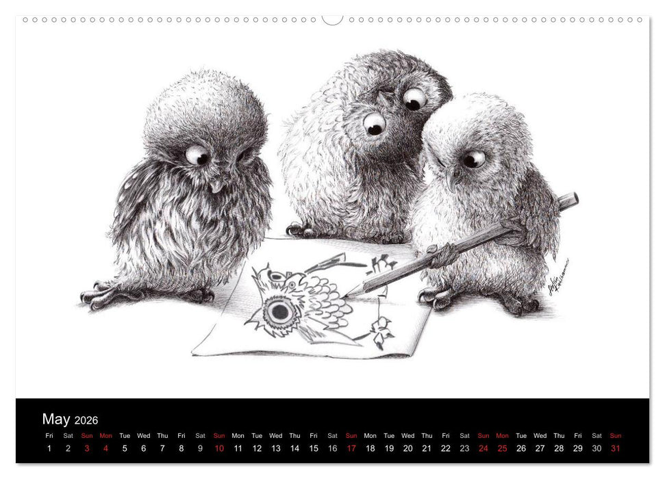 owls & friends 2026 (CALVENDO Premium-Calendar 2026)