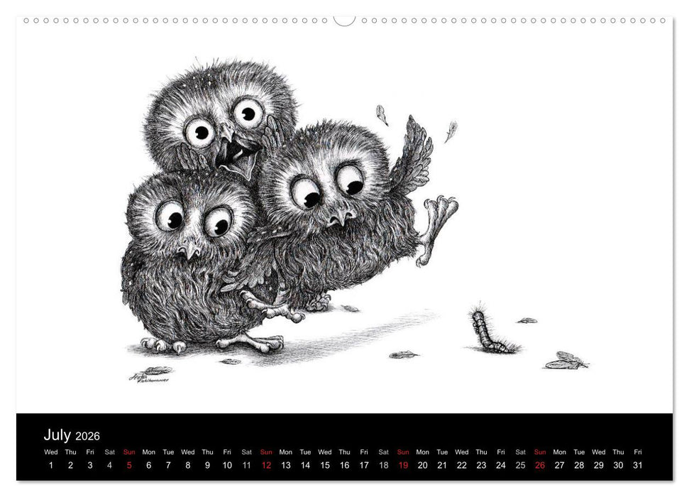 owls & friends 2026 (CALVENDO Premium-Calendar 2026)