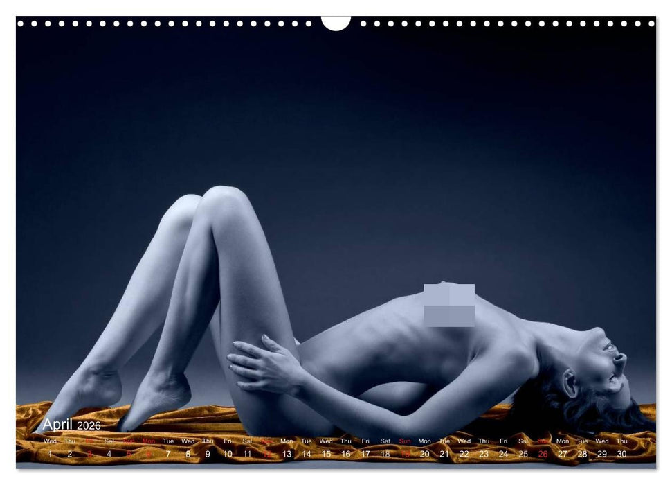 L´heure bleue - The Blue Hour (CALVENDO Monthly Calendar 2026)