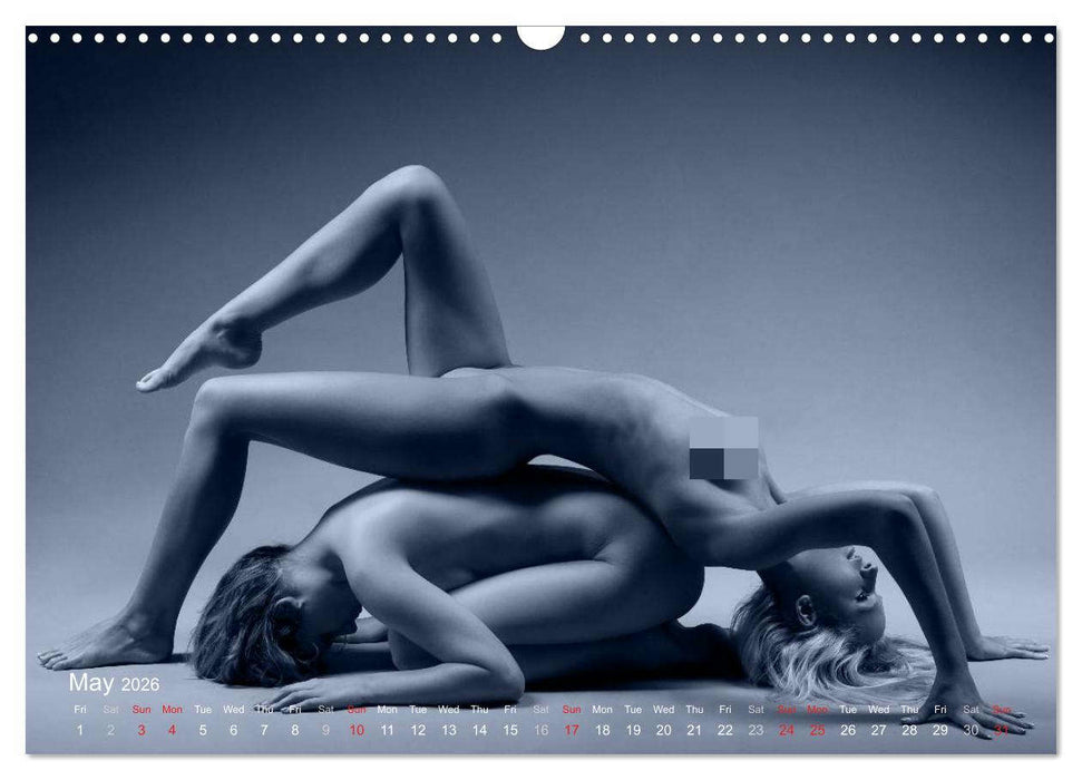 L´heure bleue - The Blue Hour (CALVENDO Monthly Calendar 2026)